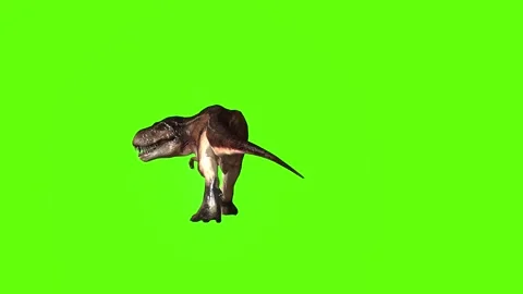 T.rex dinosaur sprint look left green screen animation 3D rendering Stock Footage 279416984