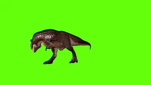 T.rex dinosaur sprint look right green screen animation 3D rendering Stock Footage 279417014
