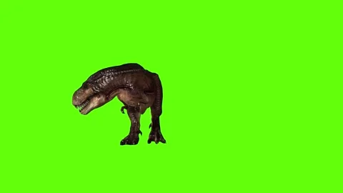 T.rex dinosaur sprint look right green screen animation 3D rendering Stock Footage 279417015
