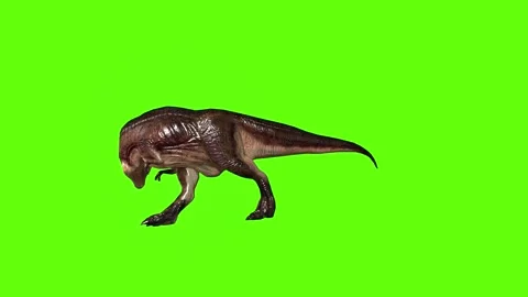 T.rex dinosaur sprint look right green screen animation 3D rendering Stock Footage 279417018