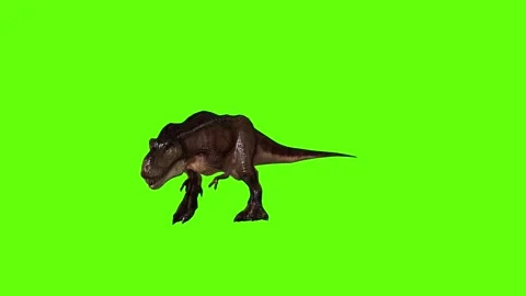 T.rex dinosaur step back green screen animation 3D rendering Stock Footage 279416945