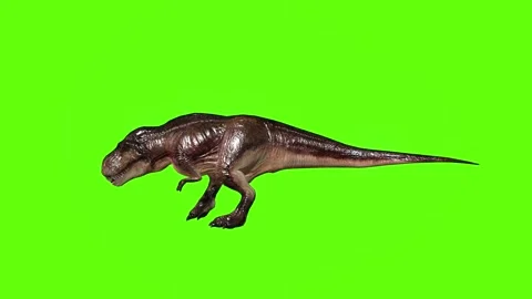 T.rex dinosaur step back green screen animation 3D rendering Stock Footage 279417026