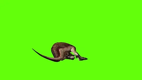 T.rex dinosaur stunned green screen animation 3D rendering Stock Footage 279417151
