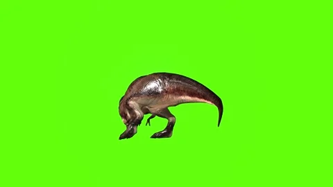 T.rex dinosaur turn 180 left look left green screen animation 3D rendering Stock Footage 279417281