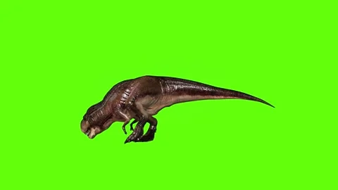T.rex dinosaur turn 180  left look left green screen animation 3D rendering Stock Footage 279417287
