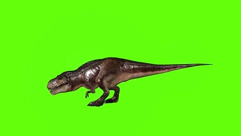 T.rex dinosaur turn 180 left green screen animation 3D rendering Stock Footage 279417308