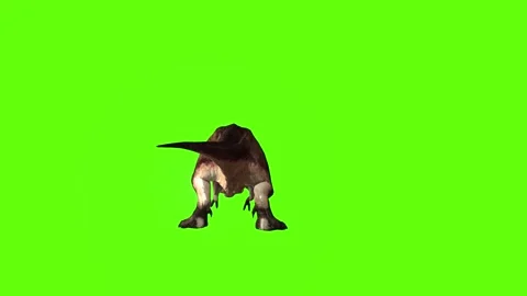 T.rex dinosaur turn 180 left green screen animation 3D rendering Stock Footage 279417316