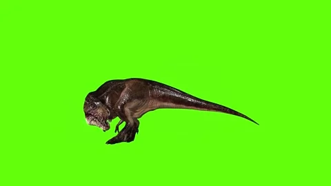 T.rex dinosaur turn 180 left look right green screen animation 3D rendering Stock Footage 279417383