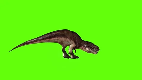 T.rex dinosaur turn 180 left look left green screen animation 3D rendering Stock Footage 279417384