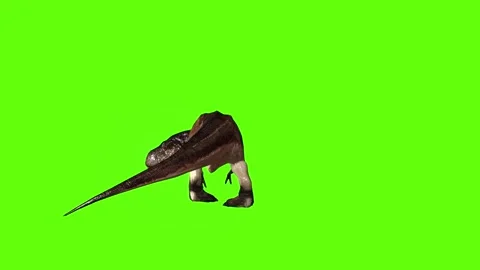 T.rex dinosaur turn 180 left look right green screen animation 3D rendering Stock Footage 279417400