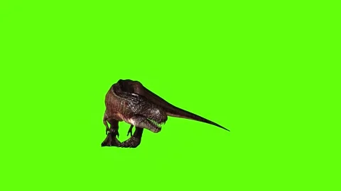 T.rex dinosaur turn 180 left look right green screen animation 3D rendering Stock Footage 279417401