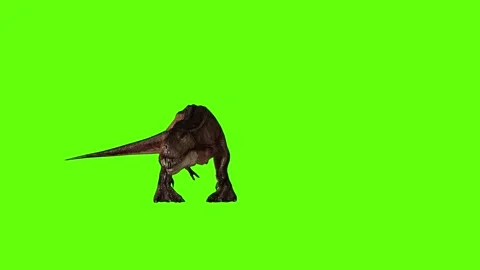 T.rex dinosaur turn 180 right  green screen animation 3D rendering Stock Footage 279417420
