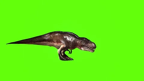 T.rex dinosaur turn 180 right green screen animation 3D rendering Stock Footage 279417431