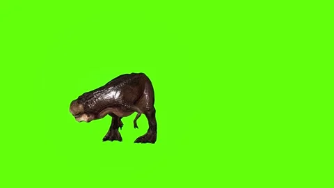 T.rex dinosaur turn 180 right look left green screen animation 3D rendering Stock Footage 279417530