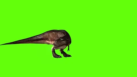 T.rex dinosaur turn 180 right look left green screen animation 3D rendering Stock Footage 279417561