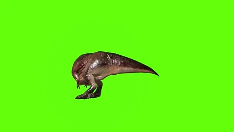 T.rex dinosaur turn 180 right look left green screen animation 3D rendering Stock Footage 279417562