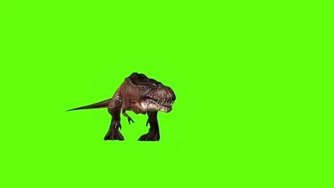 T.rex dinosaur turn 180 right look right green screen animation 3D rendering Stock Footage 279417568