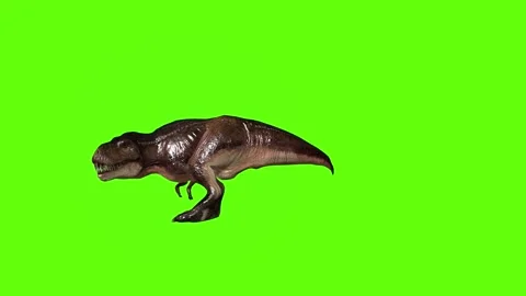 T.rex dinosaur turn 180 right look right green screen animation 3D rendering Stock Footage 279417575