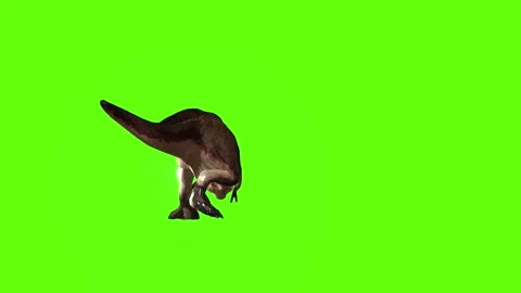 T.rex dinosaur turn 90 left green screen animation 3D rendering Stock Footage 279417076