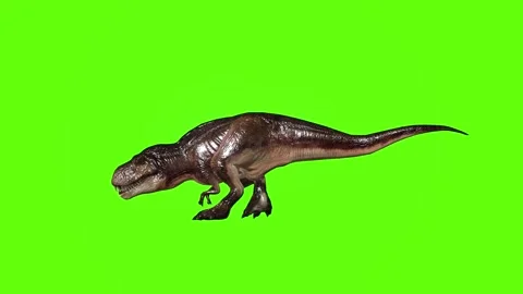 T.rex dinosaur turn 90 left green screen animation 3D rendering Stock Footage 279417194