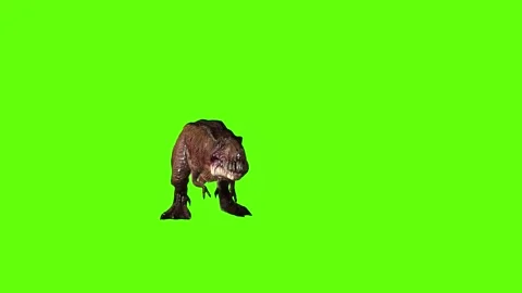 T.rex dinosaur turn 90 right green screen animation 3D rendering Stock Footage 279417260