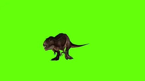 T.rex dinosaur turn 90 right green screen animation 3D rendering Stock Footage 279417261