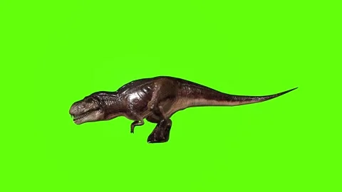 T.rex dinosaur turn 90 right green screen animation 3D rendering Stock Footage 279417270