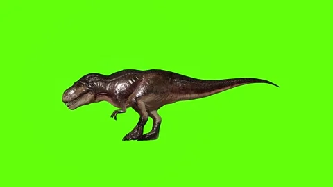 T.rex dinosaur walk back green screen animation 3D rendering Stock Footage 279417511