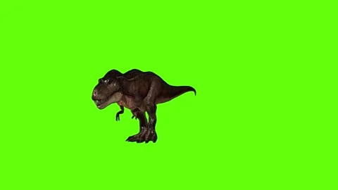 T.rex dinosaur walk back green screen animation 3D rendering Stock Footage 279417523
