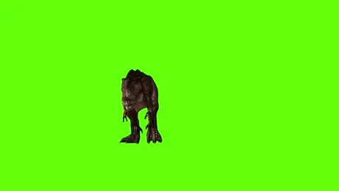 T.rex dinosaur walk back green screen animation 3D rendering Stock Footage 279417629