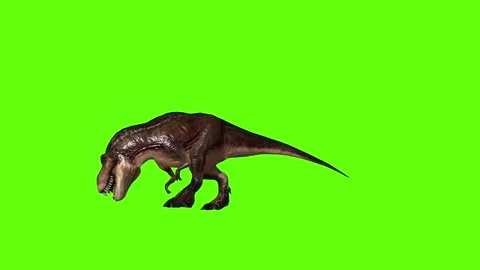 T.rex dinosaur walk bite right green screen animation 3D rendering Stock Footage 280432310