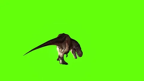 T.rex dinosaur walk bite right green screen animation 3D rendering Stock Footage 280433049