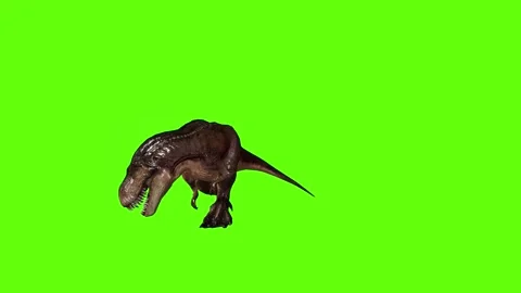 T.rex dinosaur walk bite right green screen animation 3D rendering Stock Footage 280433050