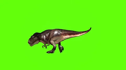 T Rex 3D Stock Video Footage | Royalty Free T Rex 3D Videos | Pond5