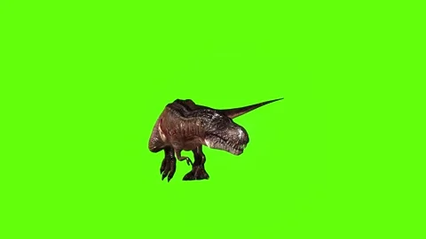T.rex dinosaur walk turn 135 left green screen animation 3D rendering Stock Footage 280432817