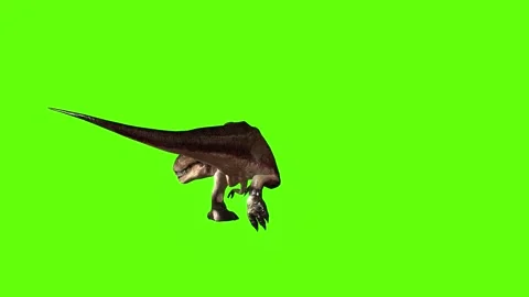T.rex dinosaur walk turn 135 left green screen animation 3D rendering Stock Footage 280432878