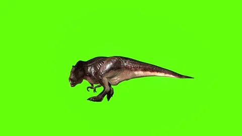 T.rex dinosaur walk turn 180 left green screen animation 3D rendering Stock Footage 280432896