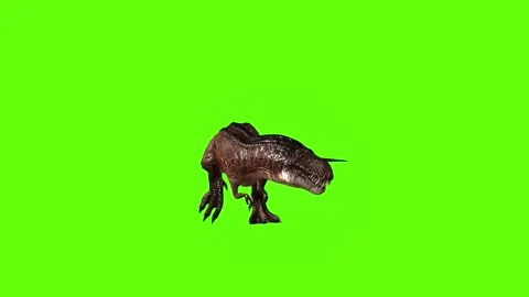 T.rex dinosaur walk turn 180 left green screen animation 3D rendering Stock Footage 280432920