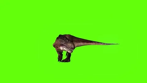 T.rex dinosaur walk turn 180 left green screen animation 3D rendering Stock Footage 280432929