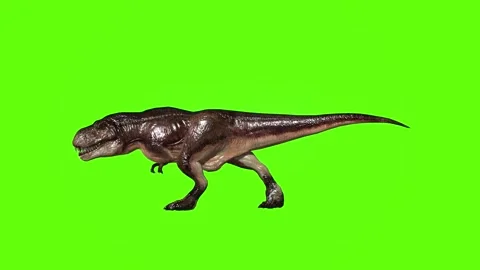 T.rex dinosaur walk turn 45 left green screen animation 3D rendering Stock Footage 280432447