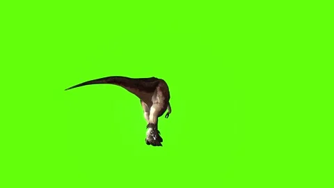 T.rex dinosaur walk turn 45 left green screen animation 3D rendering Stock Footage 280432482
