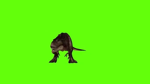 T.rex idle green screen animation 3D rendering Stock Footage 279101082