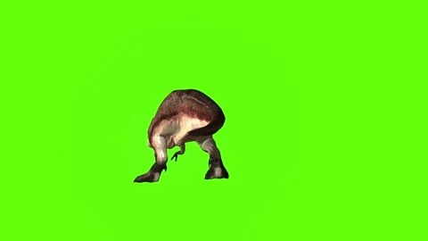 T.rex idle green screen animation 3D rendering Stock Footage 279101123