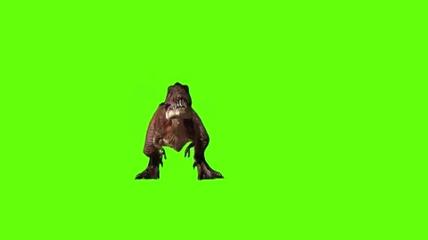 T.rex idle green screen animation 3D rendering Stock Footage 279101139