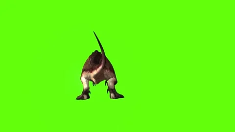 T.rex idle green screen animation 3D rendering Stock Footage 279101141