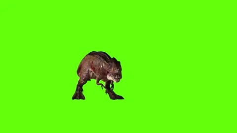 T.rex idle green screen animation 3D rendering Stock Footage 279101168