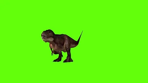T.rex idle green screen animation 3D rendering Stock Footage 279101173
