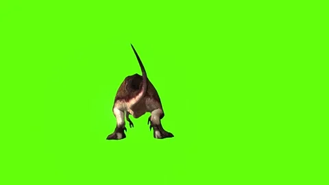 T.rex idle green screen animation 3D rendering Stock Footage 279101194