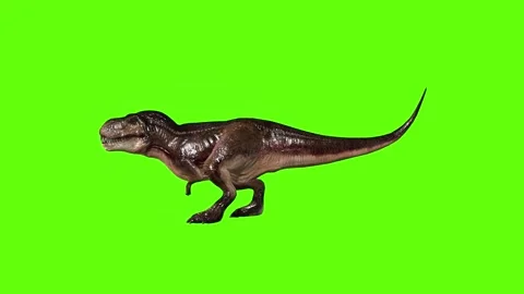 T.rex idle green screen animation 3D rendering Stock Footage 279101215