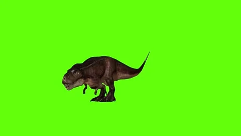 T.rex idle green screen animation 3D rendering Stock Footage 279101223